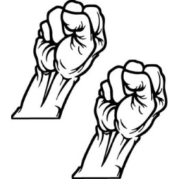 Raised Fist Stickers – Protest Solidarity Decals (2-Pack)