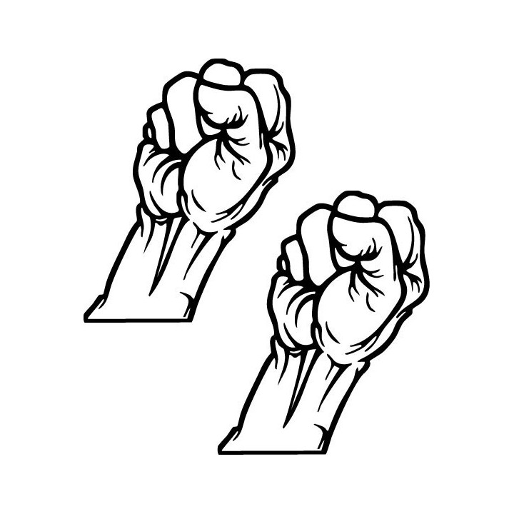 Raised Fist Stickers – Protest Solidarity Decals (2-Pack)