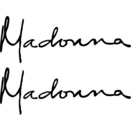 Madonna Stickers – Pop Icon Fan Decals (2-Pack)