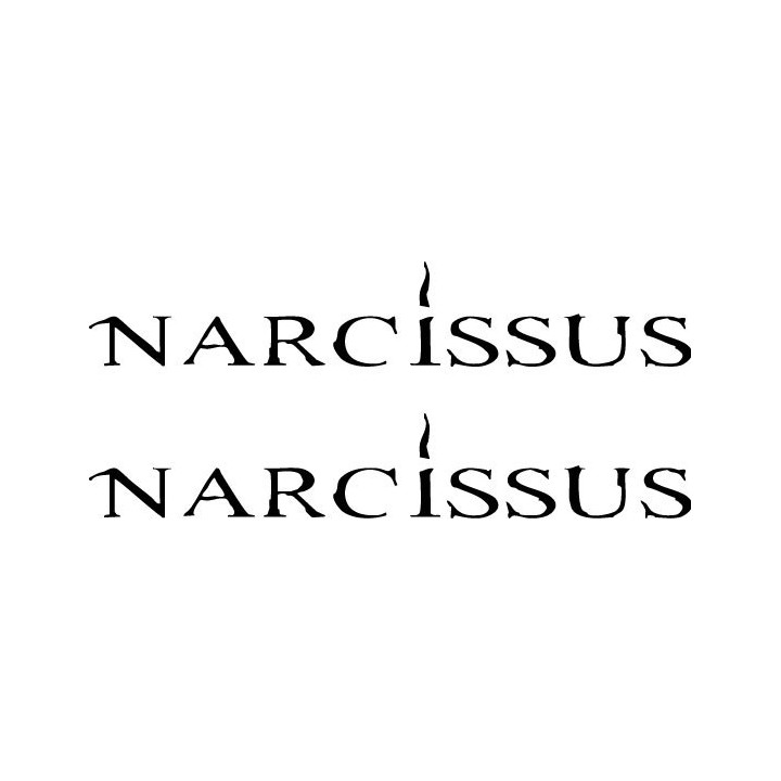 Narcissus Band Stickers – Metalcore Decals (2-Pack)