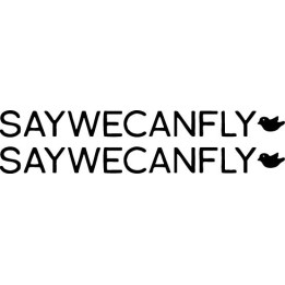 SayWeCanFly Stickers – Acoustic Emo Music Decals (2-Pack)