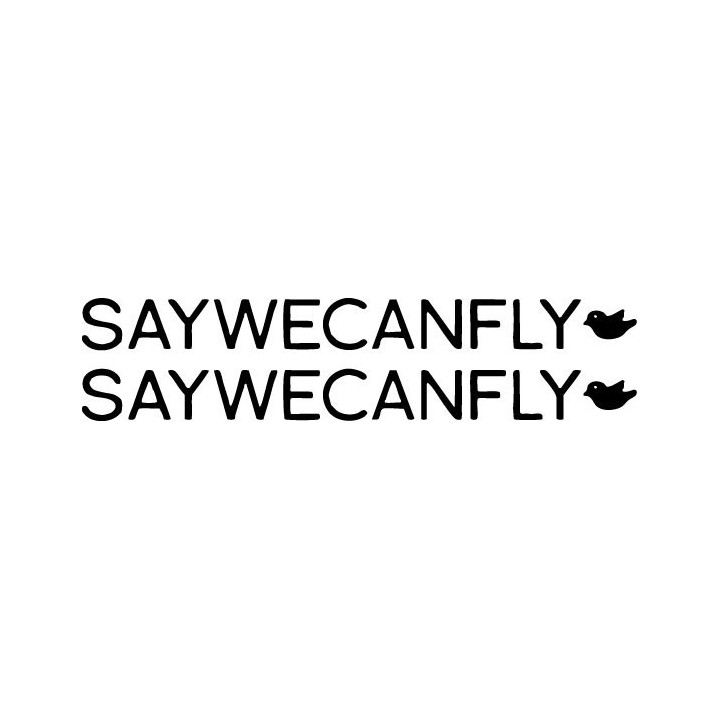 SayWeCanFly Stickers – Acoustic Emo Music Decals (2-Pack)