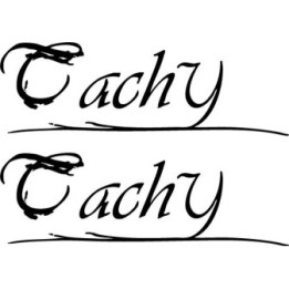 Tachy Band Stickers – Rock Music Logo Decals (2-Pack)