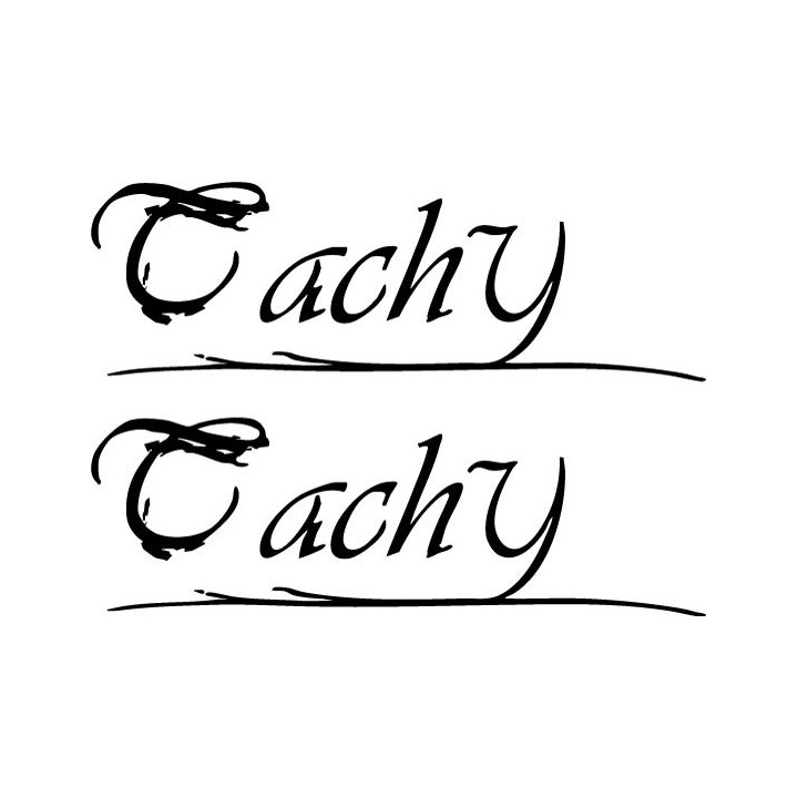 Tachy Band Stickers – Rock Music Logo Decals (2-Pack)
