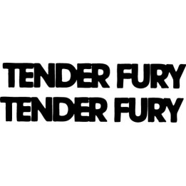 Tender Fury Stickers – Punk Rock Band Decals (2-Pack)
