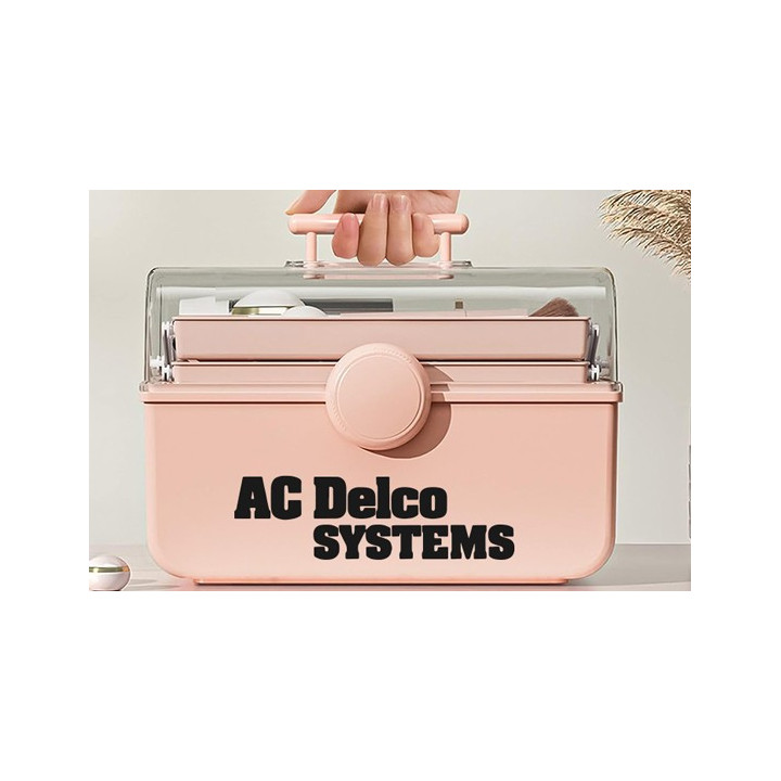 Buy Ac Delco Systems Sticker Online