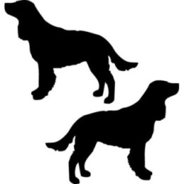 Buy American Water Spaniel Dog Sticker Online