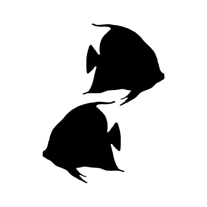 Angelfish Stickers – Tropical Fish Decals (2-Pack)