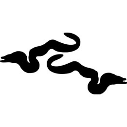 Moray Eel Stickers – Sea Life Animal Decals (2-Pack)