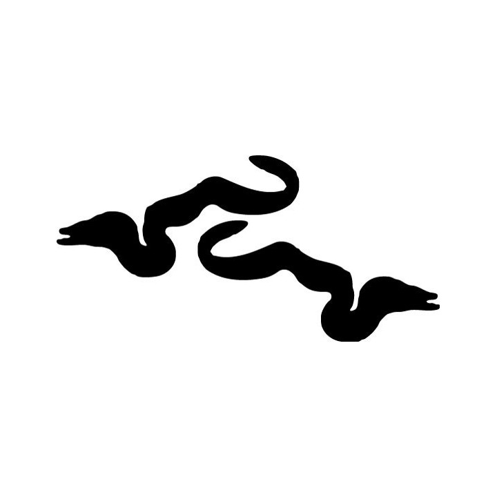 Moray Eel Stickers – Sea Life Animal Decals (2-Pack)