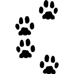 Buy Animal Paw Prints Decal Sticker Online