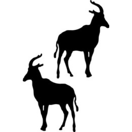 Buy Antelope Decal Sticker Online