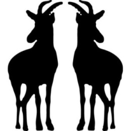 Buy Antelope Facing Forward Decal Sticker Online