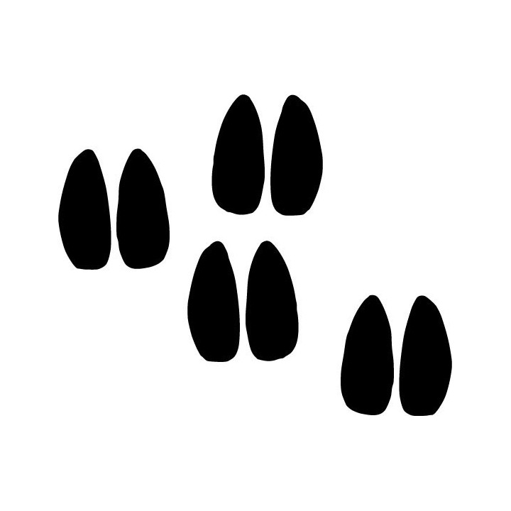 Buy Antelope Footprints Decal Sticker Online
