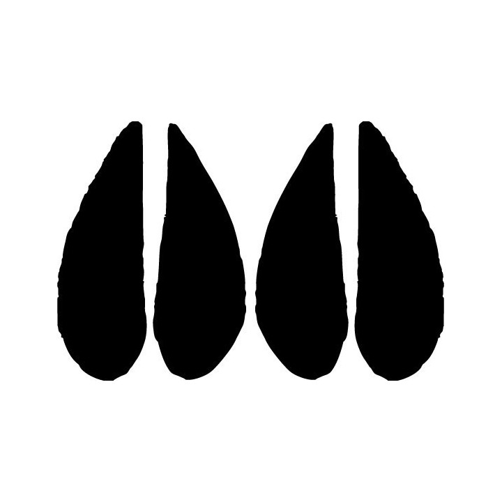 Buy Antelope Hoof Print Tracks Decal Sticker Online