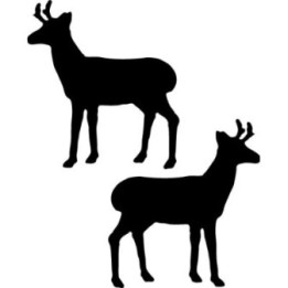 Buy Antelope With Small Antlers Facing Right Decal Sticker Online