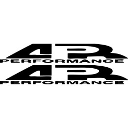 APR Performance Stickers – Carbon Fiber Aero Track Decals (2-Pack)