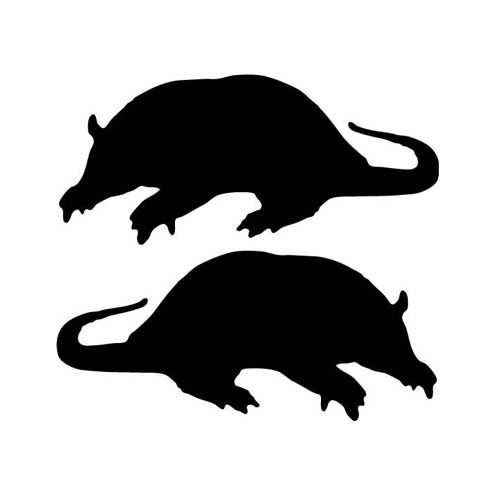 Buy Armadillo Silhouette Decal Sticker Online