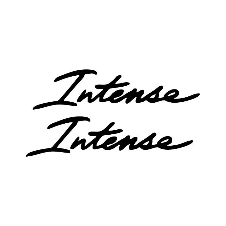 Armin van Buuren Intense Stickers – EDM Trance (2-Pack)