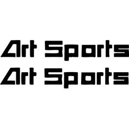 Buy Artsports Decal Sticker Online