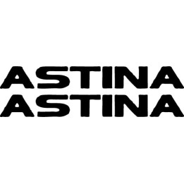 Buy Astina Decal Sticker Online