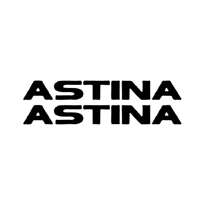 Buy Astina Decal Sticker Online