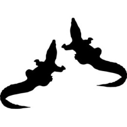 Baby Alligator Stickers – Reptile Wildlife Decals (2-Pack)