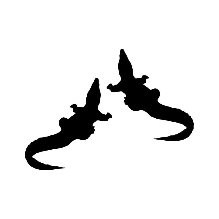 Baby Alligator Stickers – Reptile Wildlife Decals (2-Pack)