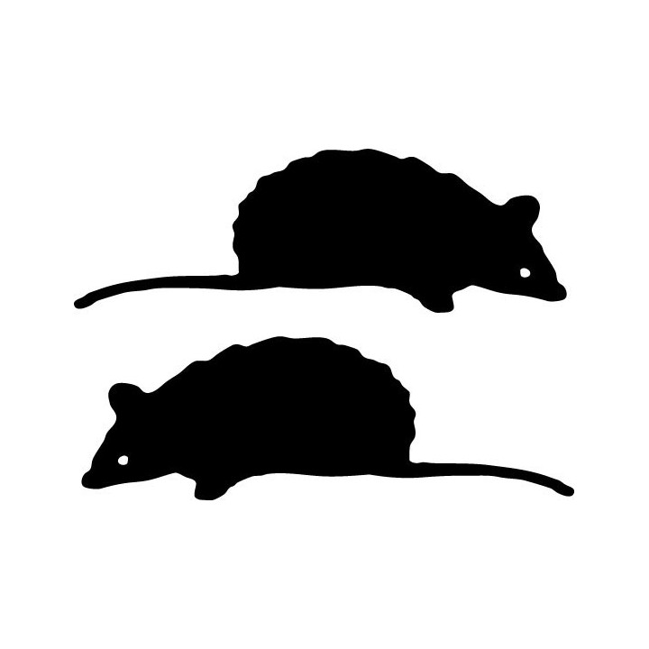 Buy Baby Mouse Decal Sticker Online