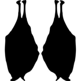 Buy Bat 4 Decal Sticker Online