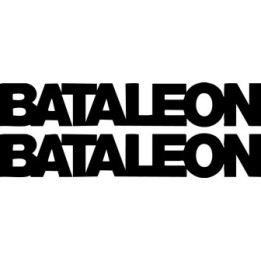 Bataleon Snowboards Stickers – TBT Rocker Freestyle Vinyl Decals (2-Pack)