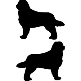 Buy Bernese Mountain Dog Sticker Online