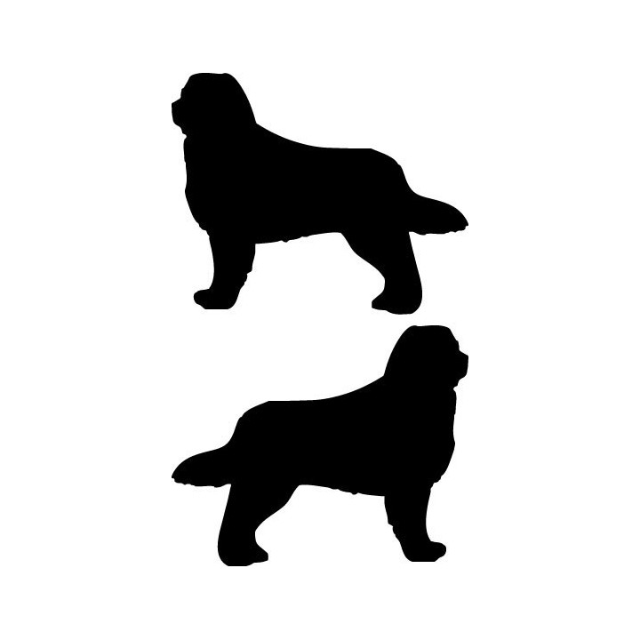 Buy Bernese Mountain Dog Sticker Online