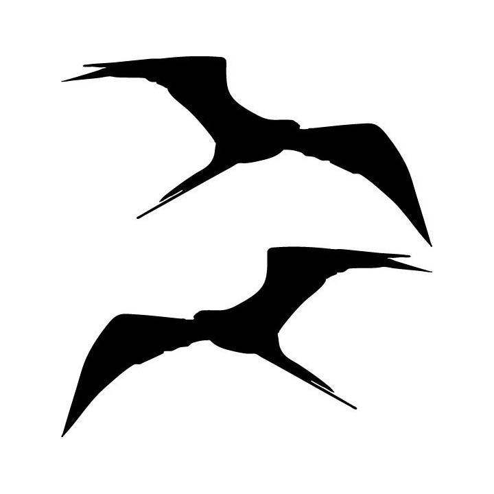 Buy Bird Soaring Sticker Online
