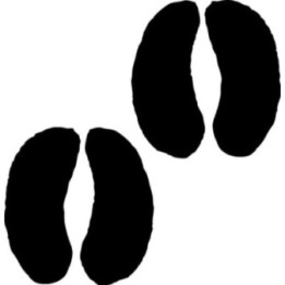 Buy Bison Hoof Print Foot Track Decal Sticker Online