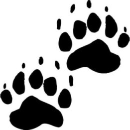 Buy Black Bear Paw Print Tracks Decal Sticker Online