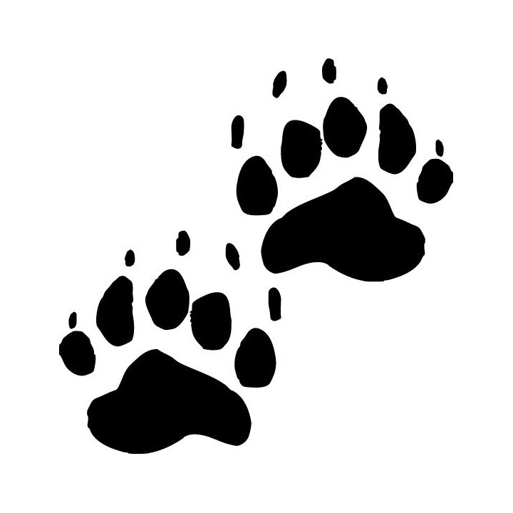 Buy Black Bear Paw Print Tracks Decal Sticker Online