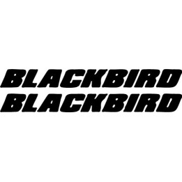 Buy Blackbird Decal Sticker Online
