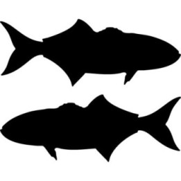 Bluefish Stickers – Saltwater Fishing Decals (2-Pack)