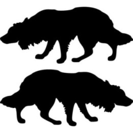 Buy Border Collie Dog 2 Sticker Online