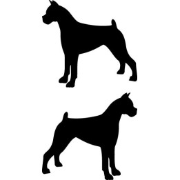 Buy Boxer 2 Decal Sticker 1 Online