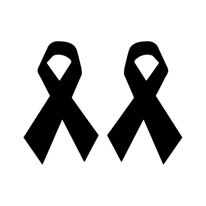 Awareness Ribbon Stickers – Cancer Support Decals (2-Pack)