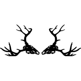 Buy Buck Antlers Skull Style 3 Decal Sticker 1 Online