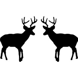 Buy Buck Walking Decal Sticker Online
