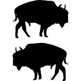 Buy Buffalo Decal Sticker Online