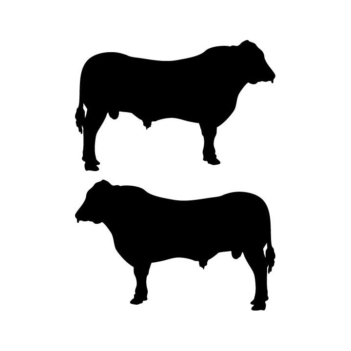 Bull Silhouette Stickers – Cattle Farm Ranch Decals (2-Pack)