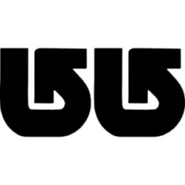 Burton Snowboards Stickers – Flying B Logo Decals (2-Pack)
