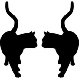 Buy Cat Decal Sticker Online