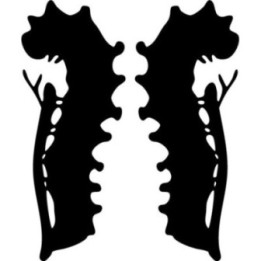 Buy Caterpillar Ver Vinyl Decal Sticker Online