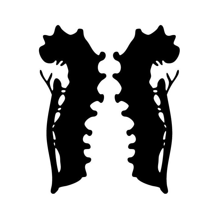 Buy Caterpillar Ver Vinyl Decal Sticker Online